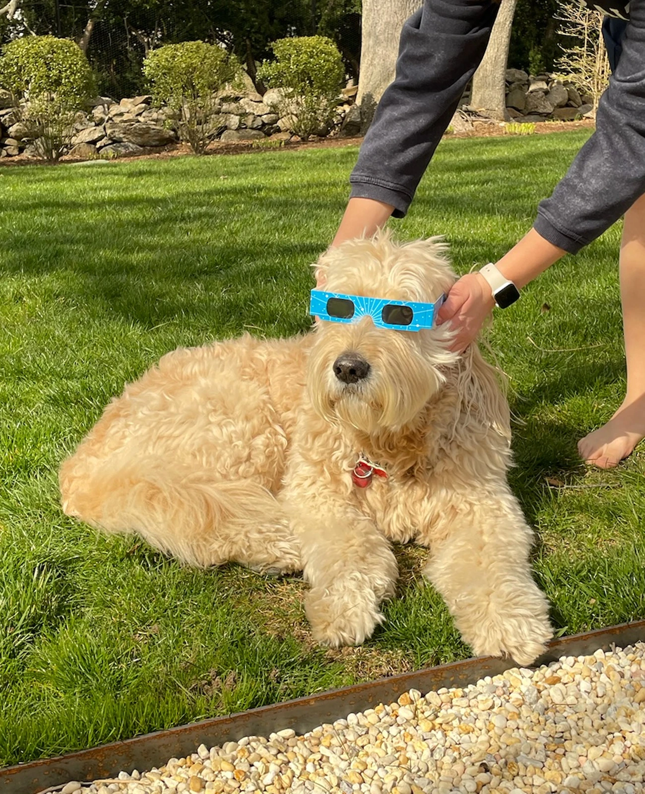 Owen from the Ingenuity Design team wearing protective solar eclipse glasses outdoors.